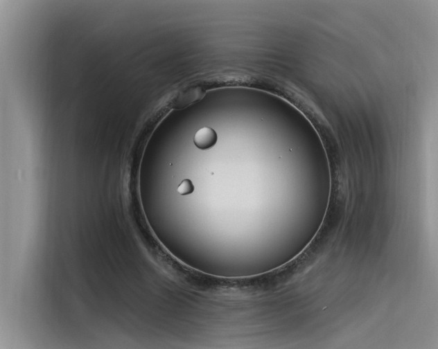 X0000115520538200911131447