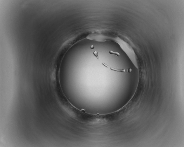 X0000115520543200911131447