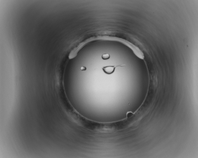 X0000115520546200911131447