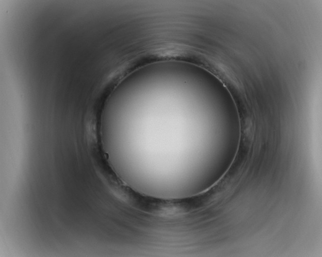 X0000115520547200911131447