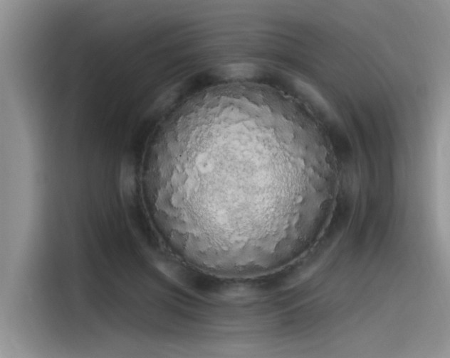 X0000115520549200911131447