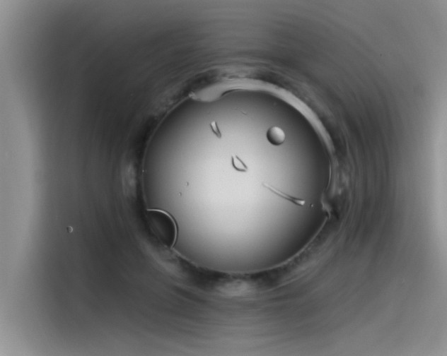 X0000115520551200911131447