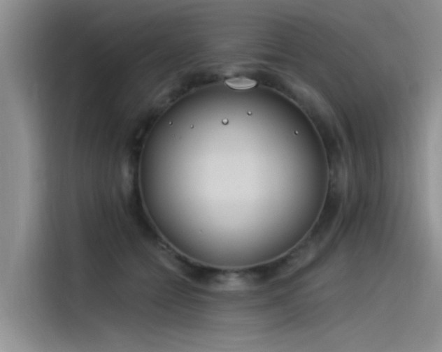 X0000115520558200911131447