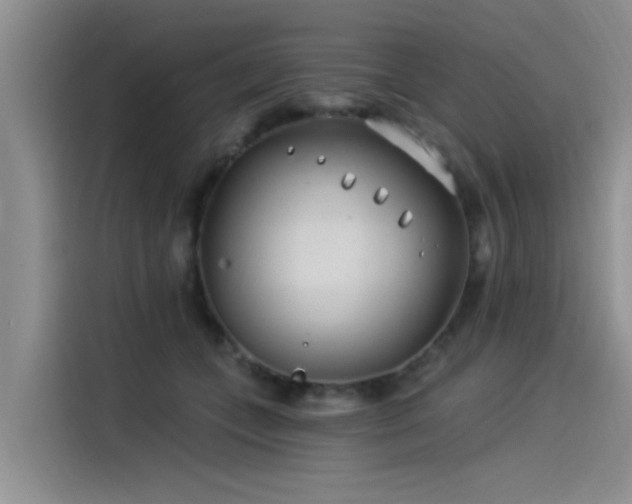 X0000115520559200911131447