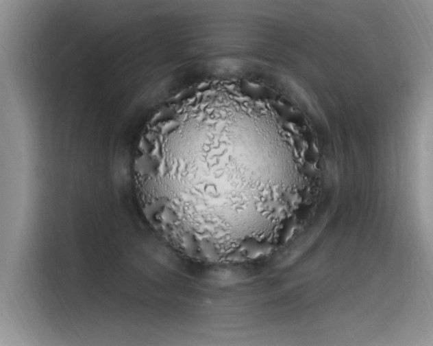 X0000115520561200911131447