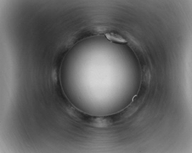 X0000115520562200911131447