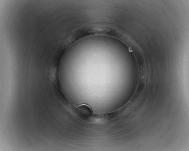 X0000115520563200911131447