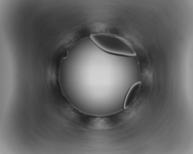 X0000115520566200911131447