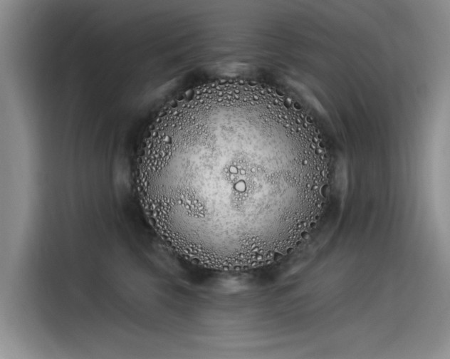 X0000115520569200911131447