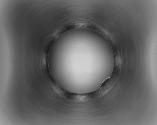 X0000115520570200911131447