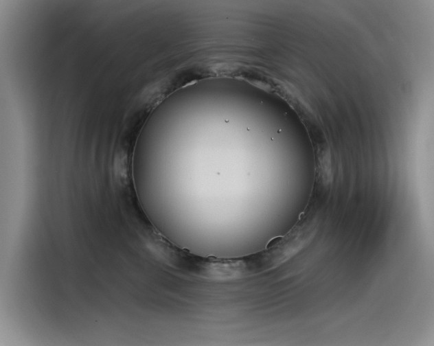 X0000115520571200911131448