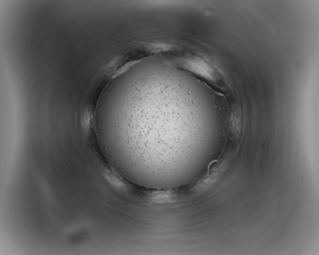 X0000115520574200911131448