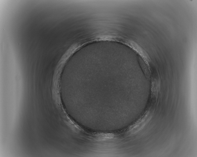 X0000115520577200911131447