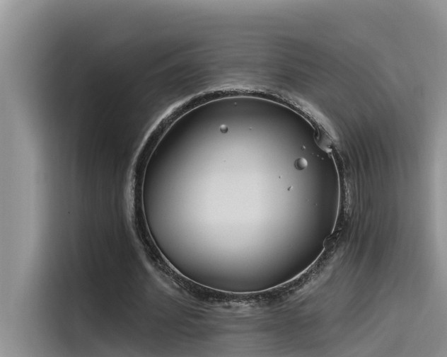 X0000115520580200911131447