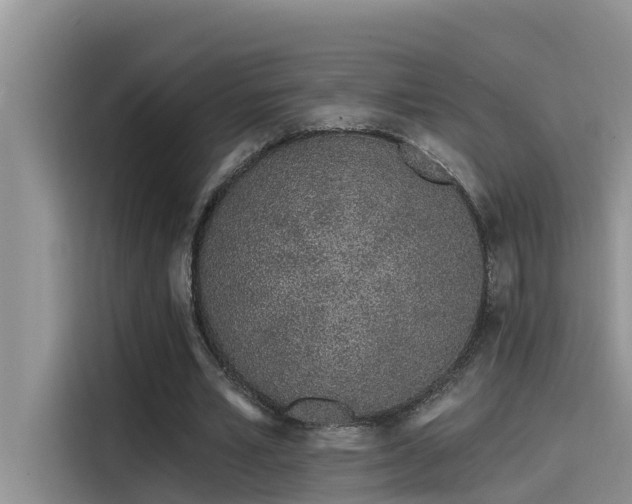 X0000115520581200911131447