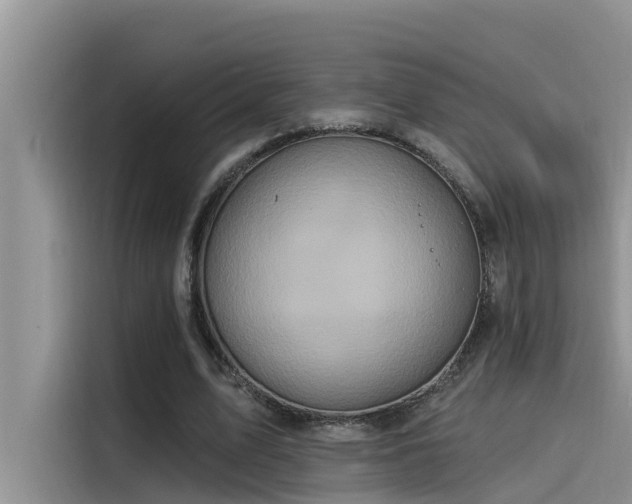 X0000115520583200911131447