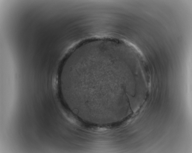 X0000115520592200911131447