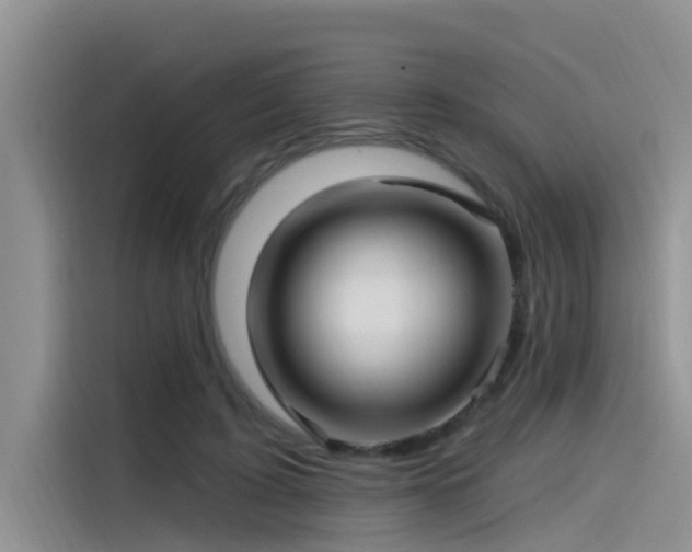 X0000115520595200911131447