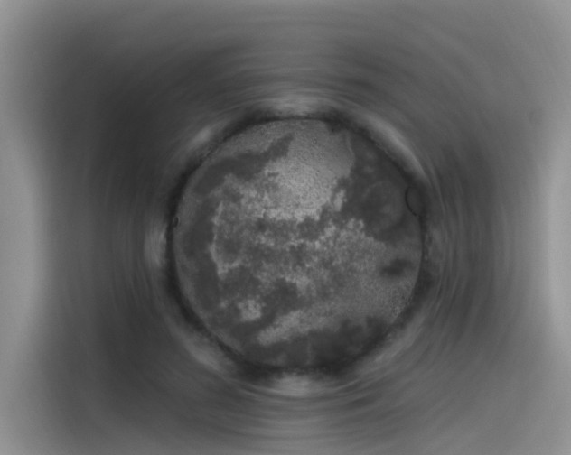 X0000115520596200911131447