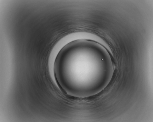 X0000115520599200911131447