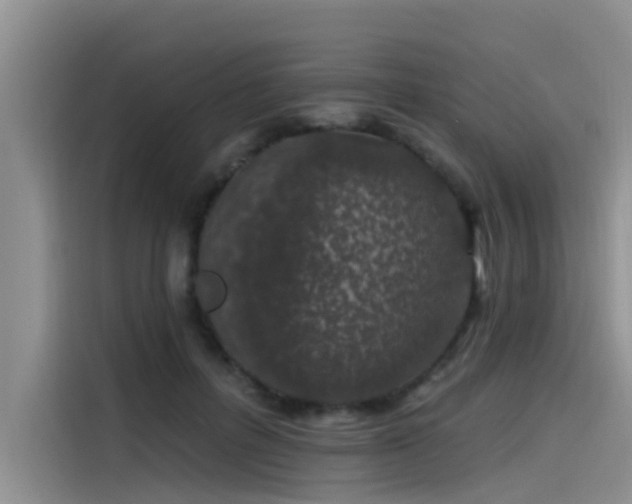 X0000115520600200911131447