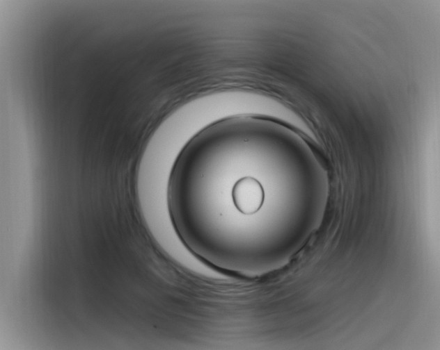 X0000115520601200911131447