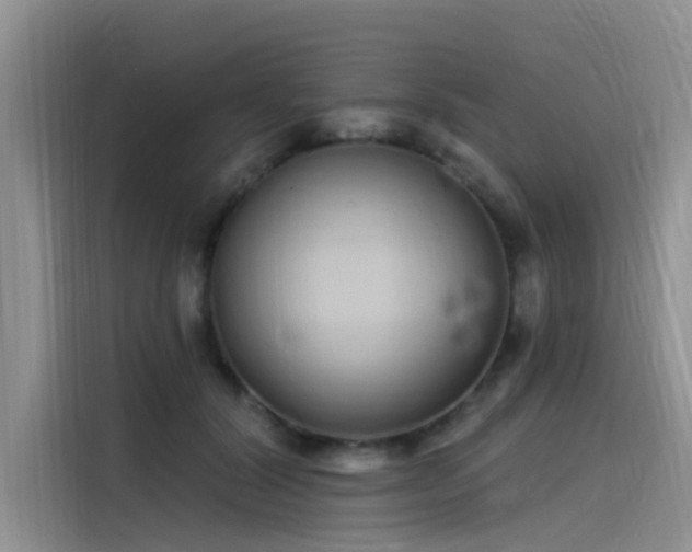 X0000115520604200911131447