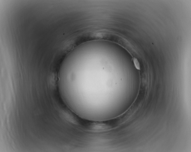 X0000115520605200911131447