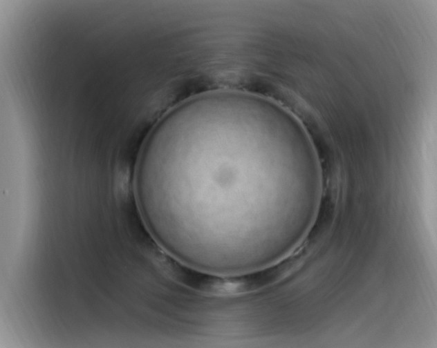 X0000115520610200911131447