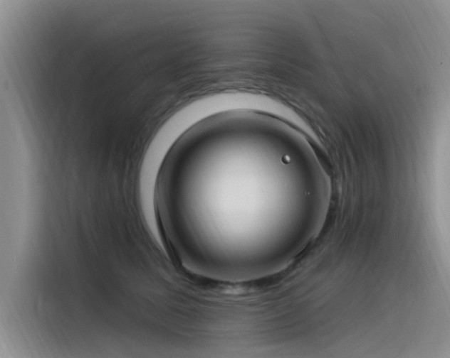 X0000115520611200911131446