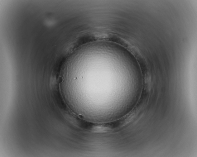 X0000115520614200911131446