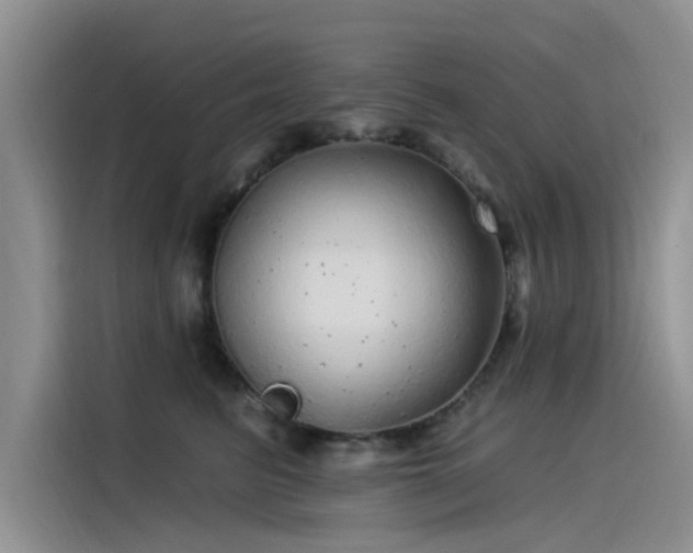 X0000115520615200911131446