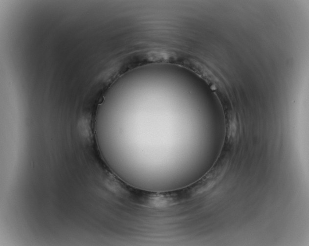 X0000115520616200911131446