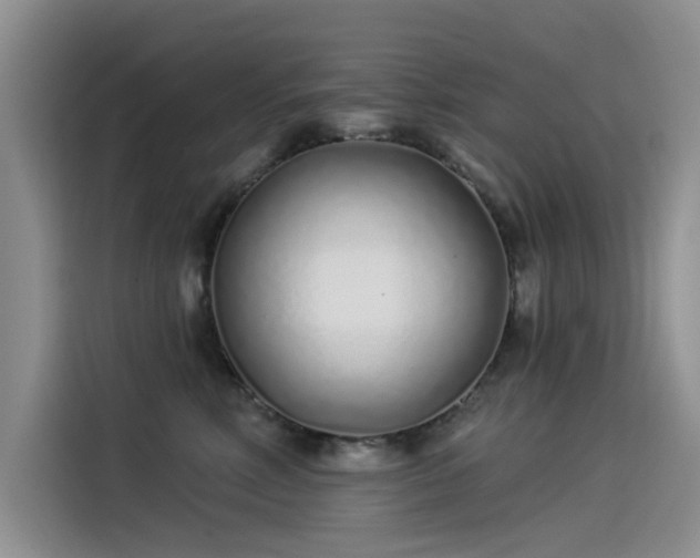 X0000115520618200911131446