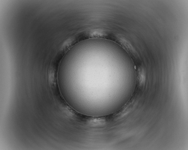 X0000115520619200911131446