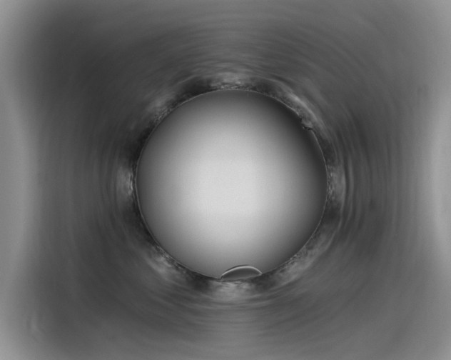 X0000115520621200911131446