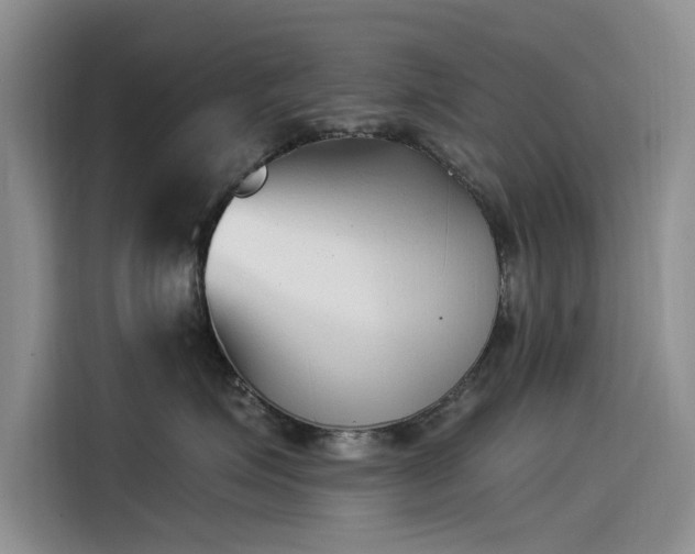 X0000115520623200911131446