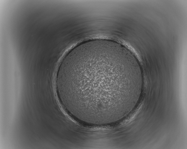 X0000115520625200911131446