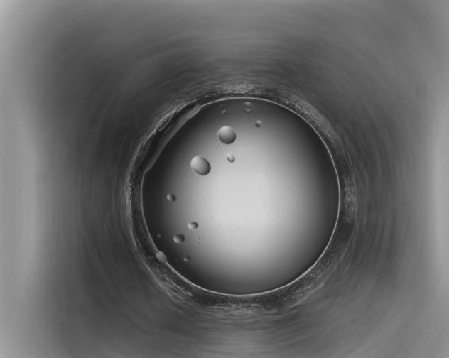 X0000115520626200911131446