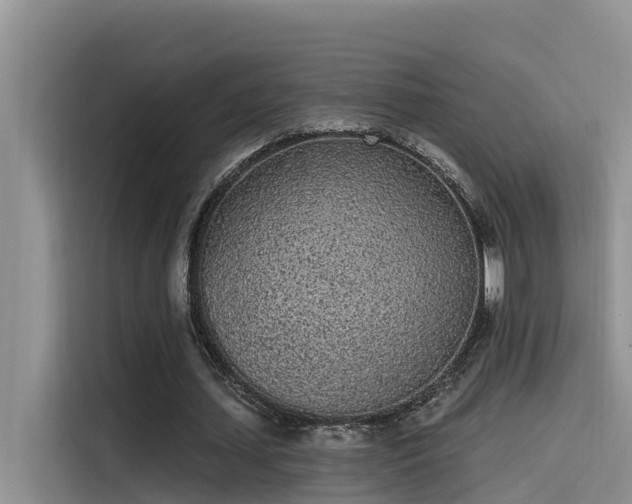 X0000115520627200911131446