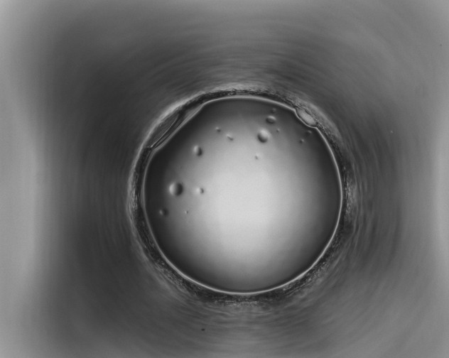 X0000115520628200911131446