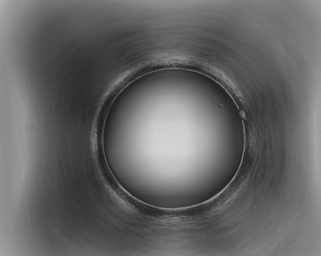 X0000115520629200911131446