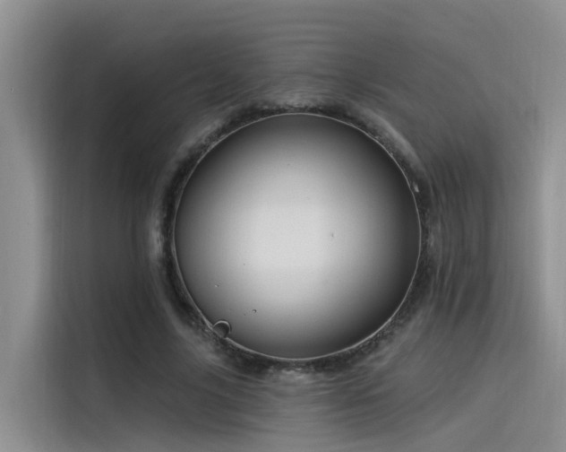 X0000115520635200911131446