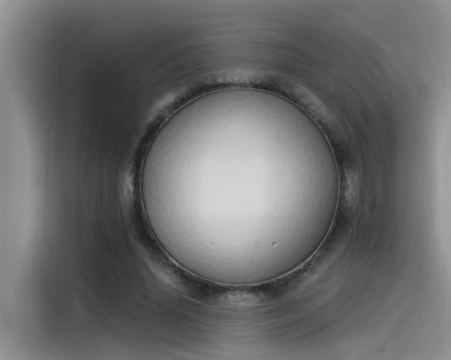 X0000115520636200911131446