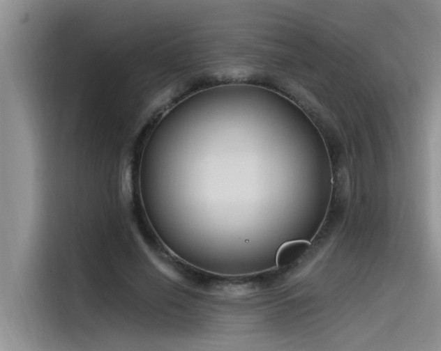 X0000115520638200911131446