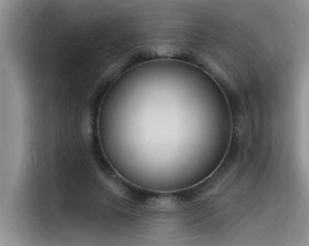 X0000115520639200911131446