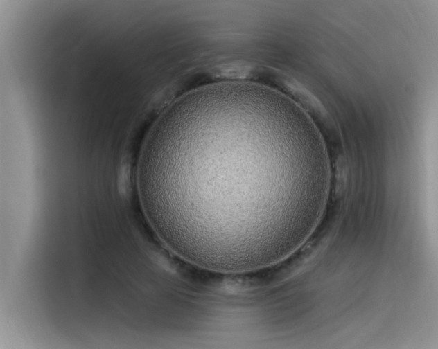 X0000115520641200911131446