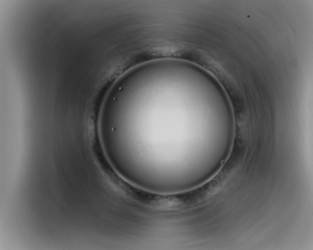 X0000115520642200911131446