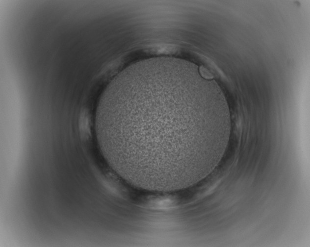 X0000115520643200911131446