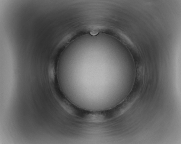 X0000115520644200911131446